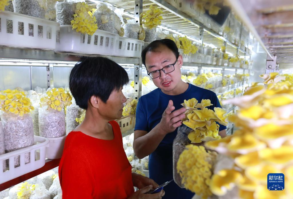 奔驰游戏